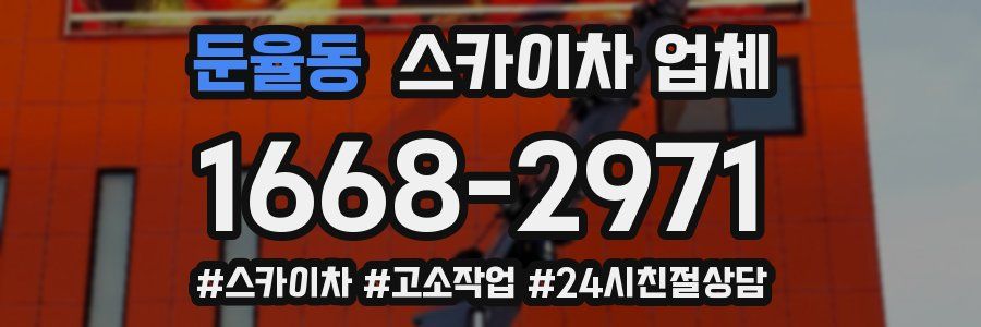 둔율동 스카이차 업체