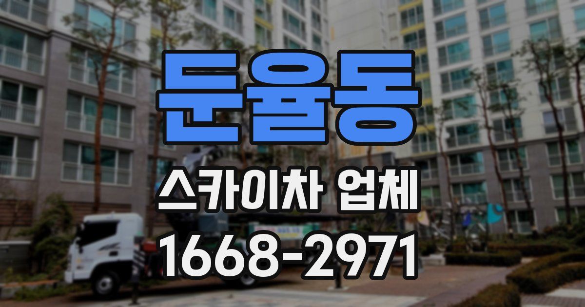 둔율동 스카이차 업체