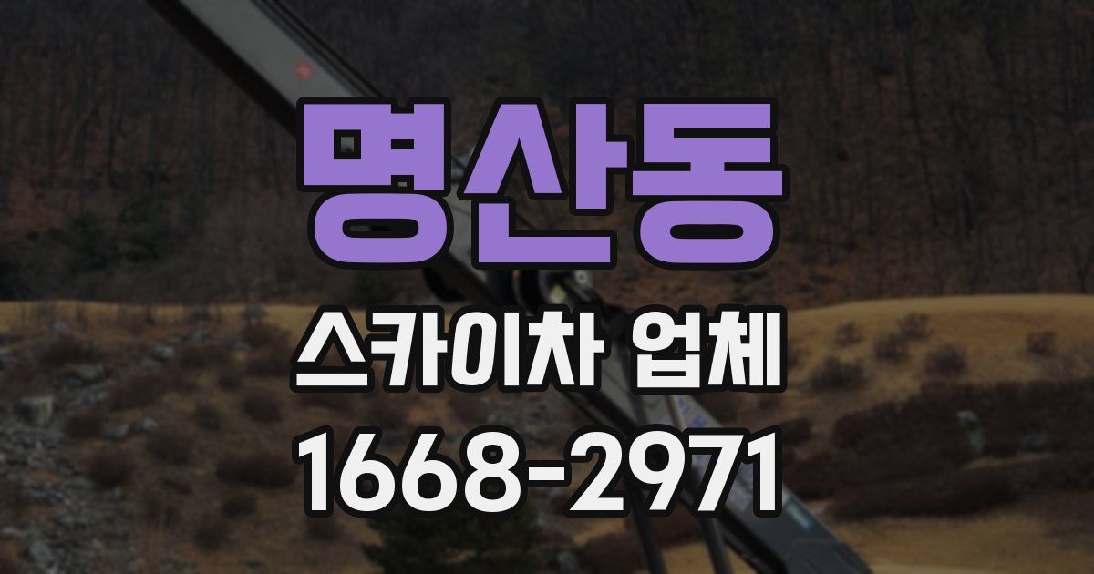 명산동 스카이차 업체