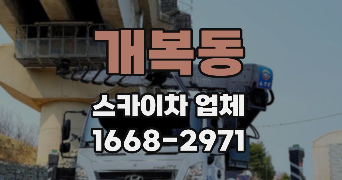 개복동 스카이차 업체
