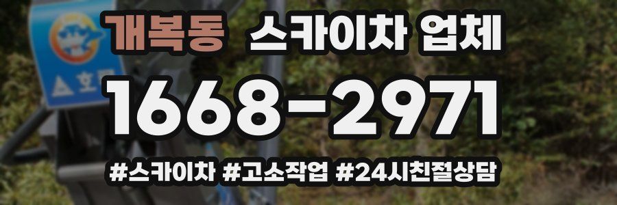 개복동 스카이차 업체