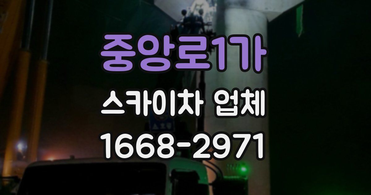 중앙로1가 스카이차 업체