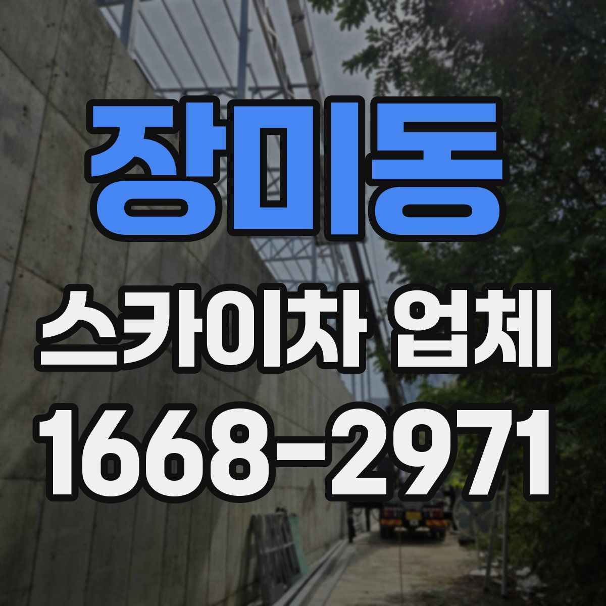 장미동 스카이차 업체