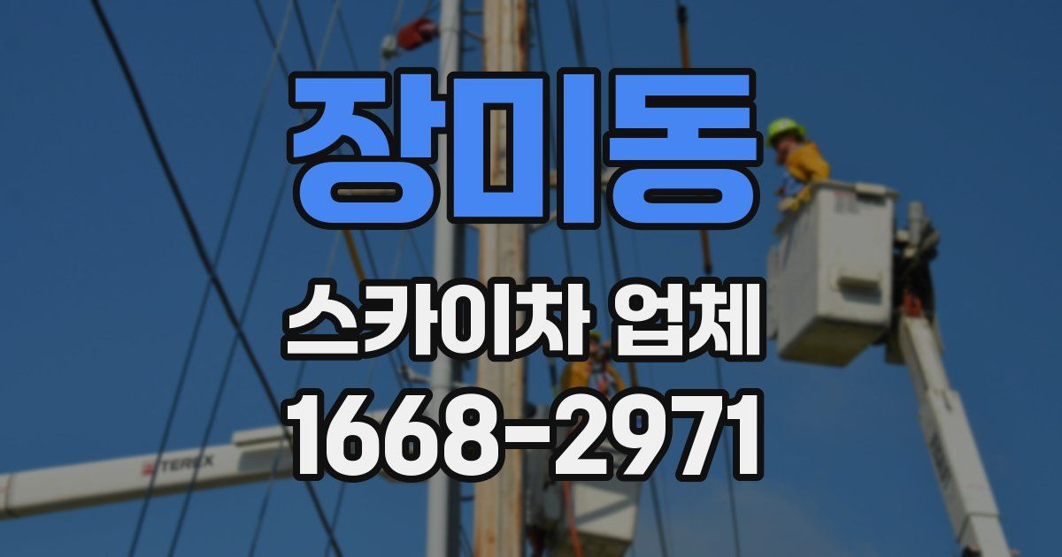 장미동 스카이차 업체