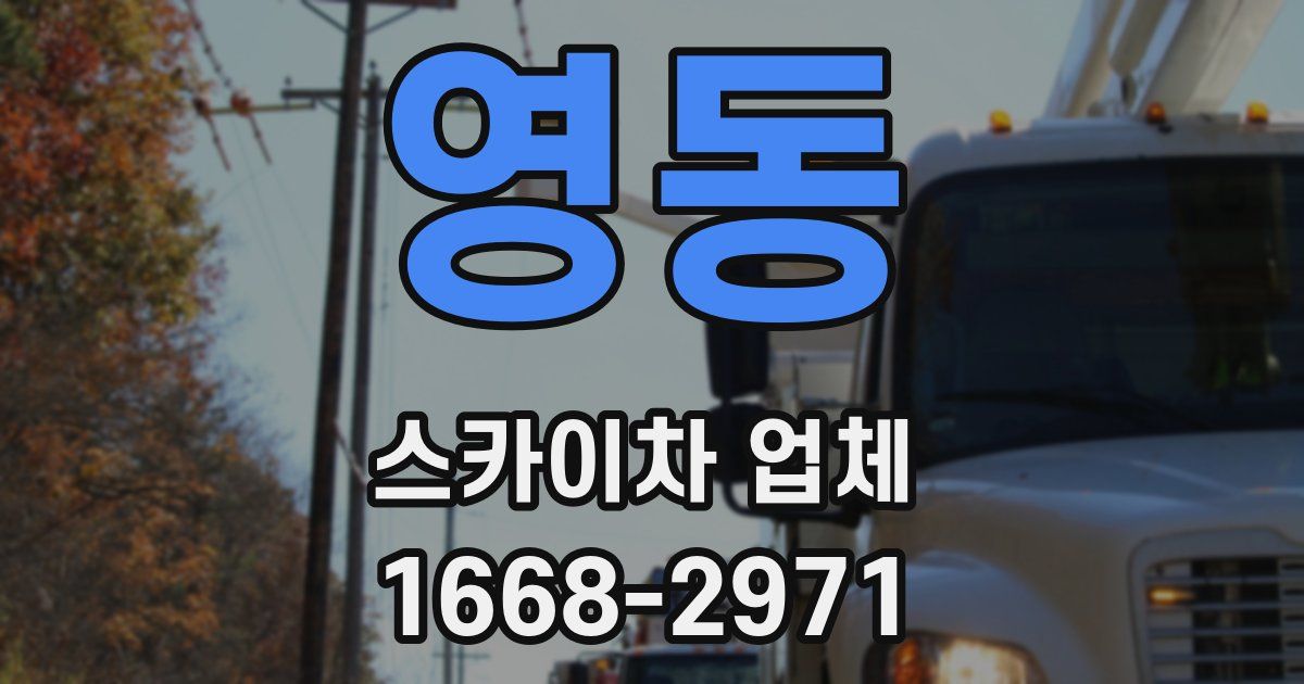 영동 스카이차 업체