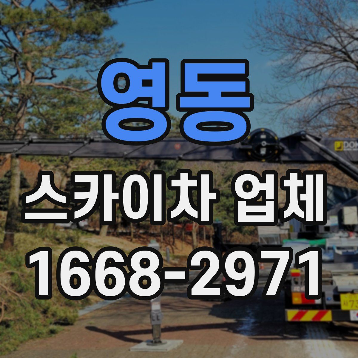 영동 스카이차 업체