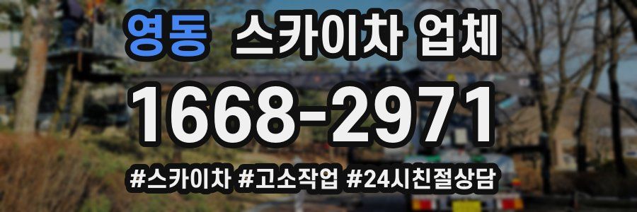 영동 스카이차 업체