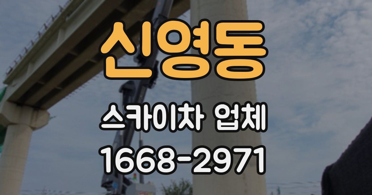 신영동 스카이차 업체