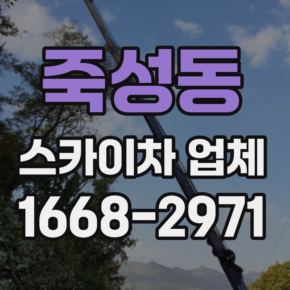 죽성동 스카이차 업체 예약 전에 체크할 사항