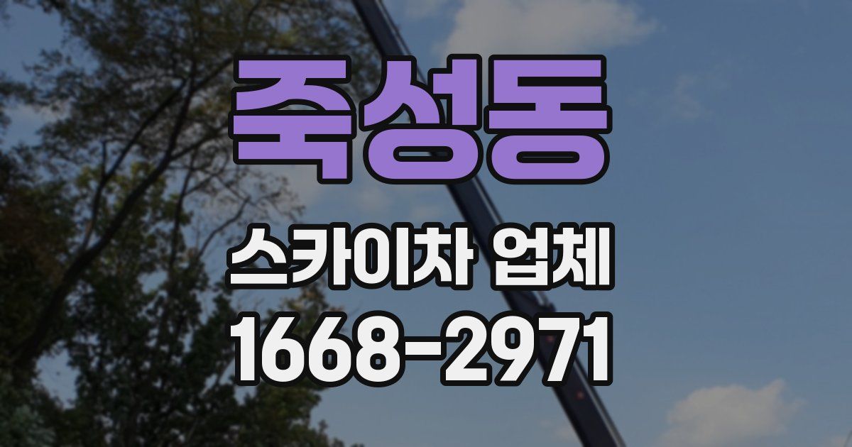 죽성동 스카이차 업체