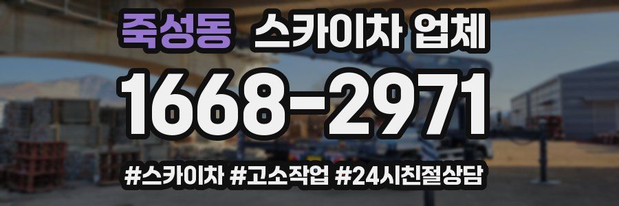 죽성동 스카이차 업체