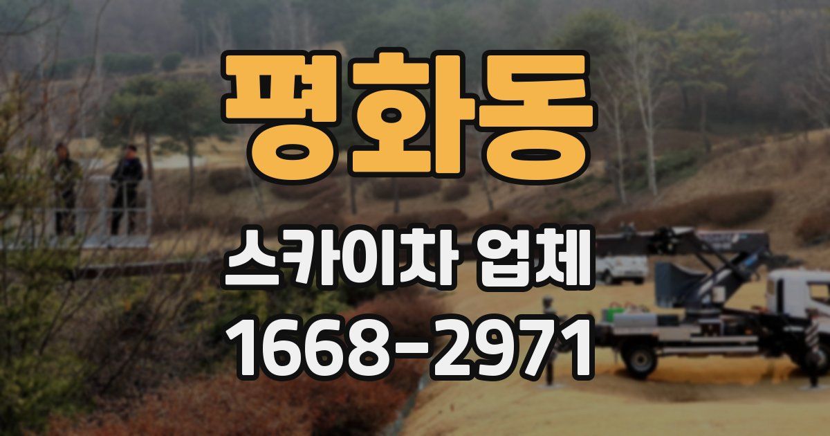 평화동 스카이차 업체