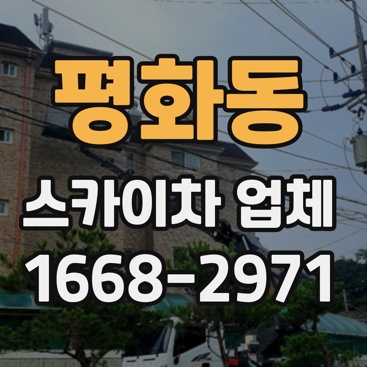 평화동 스카이차 업체