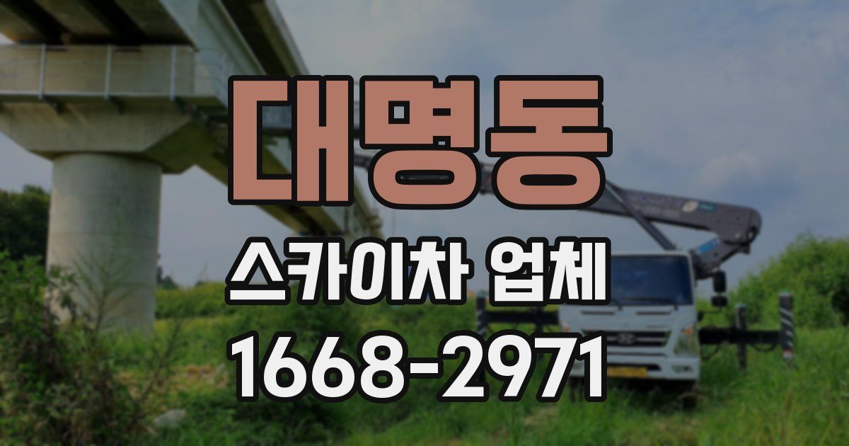 대명동 스카이차 업체