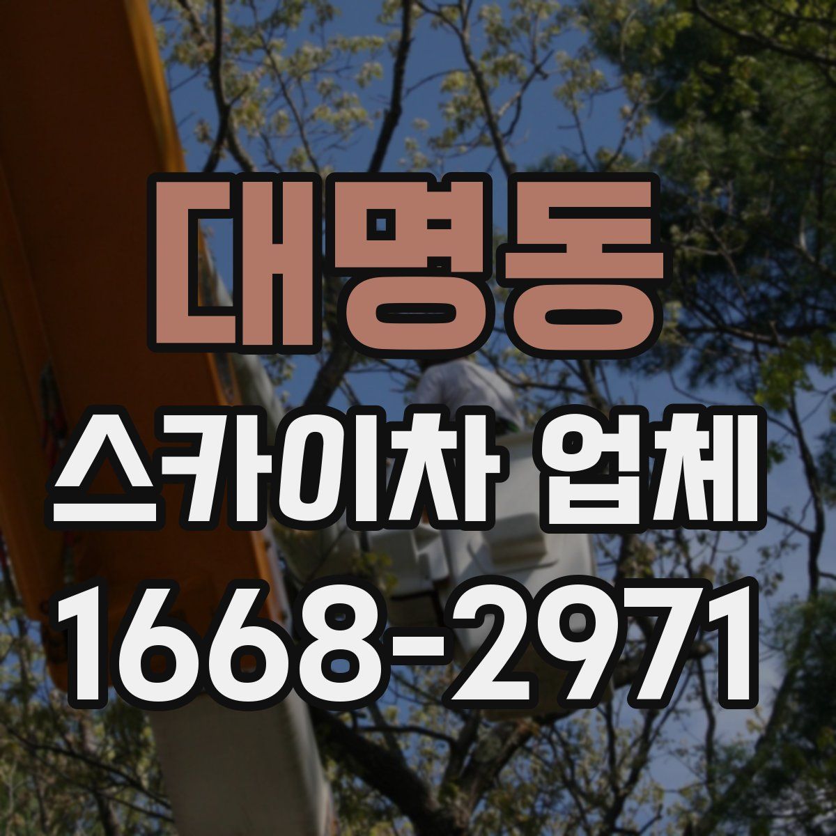 대명동 스카이차 업체