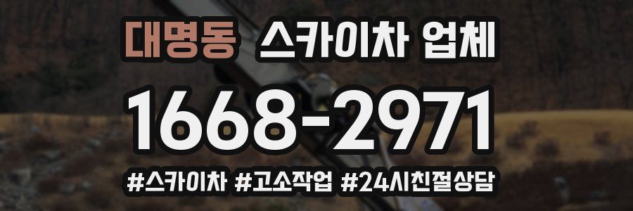 대명동 스카이차 업체