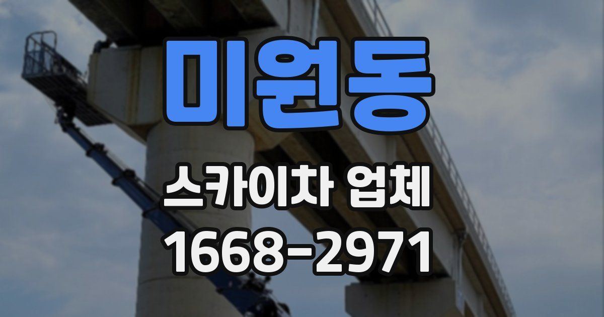 미원동 스카이차 업체