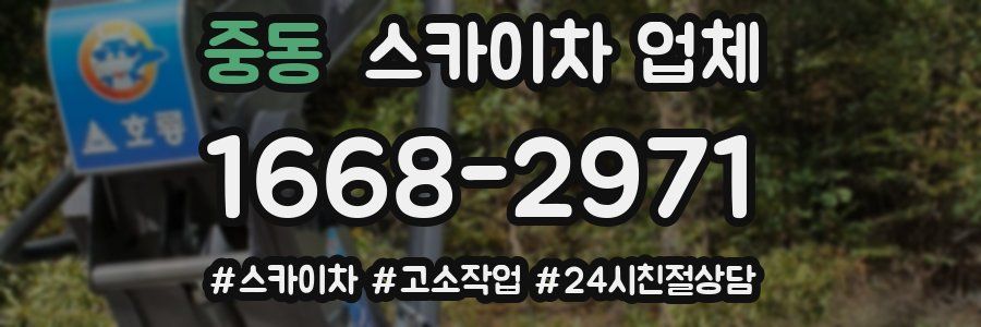 중동 스카이차 업체