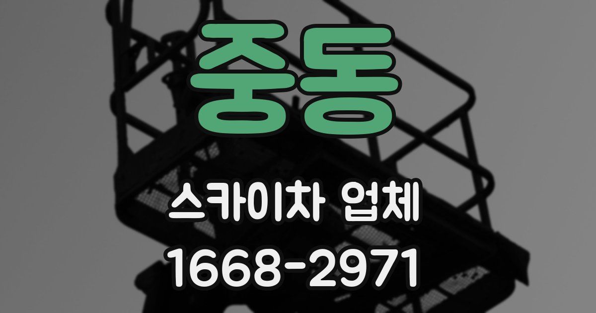 중동 스카이차 업체