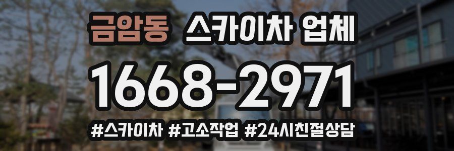 금암동 스카이차 업체