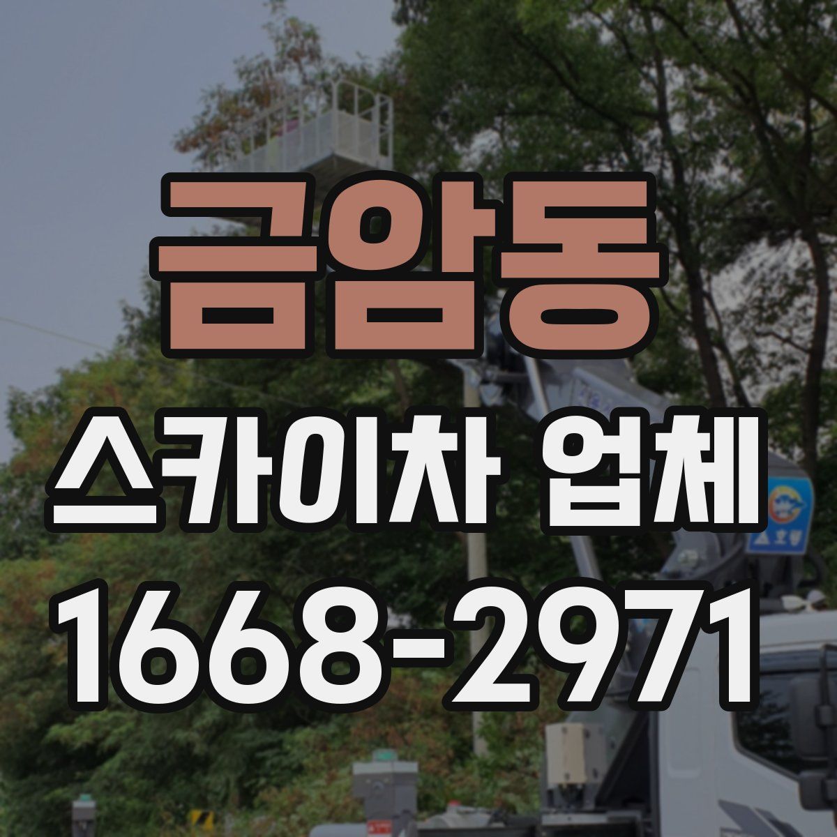 금암동 스카이차 업체
