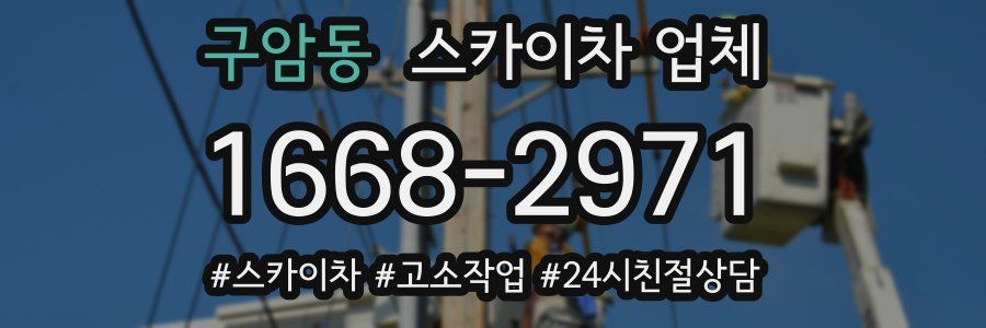 구암동 스카이차 업체