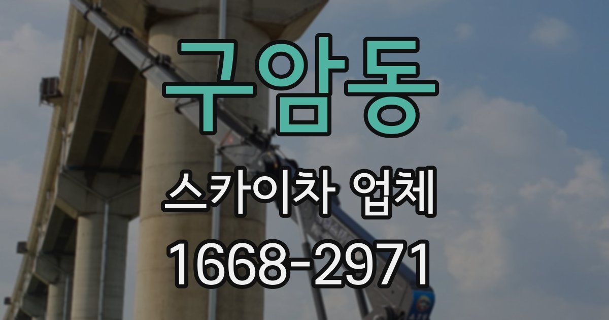 구암동 스카이차 업체