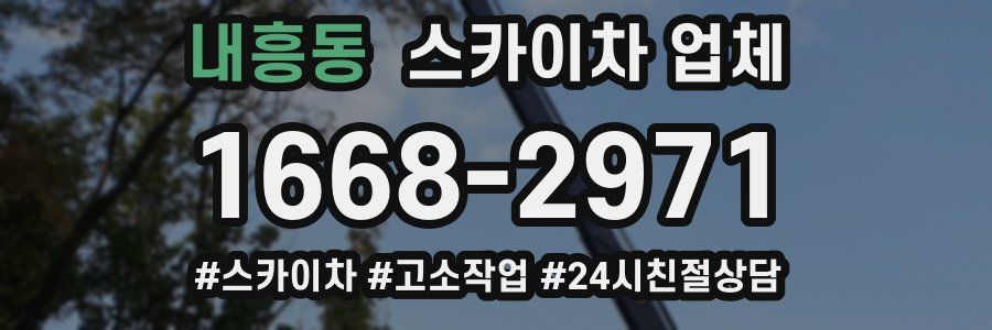 내흥동 스카이차 업체
