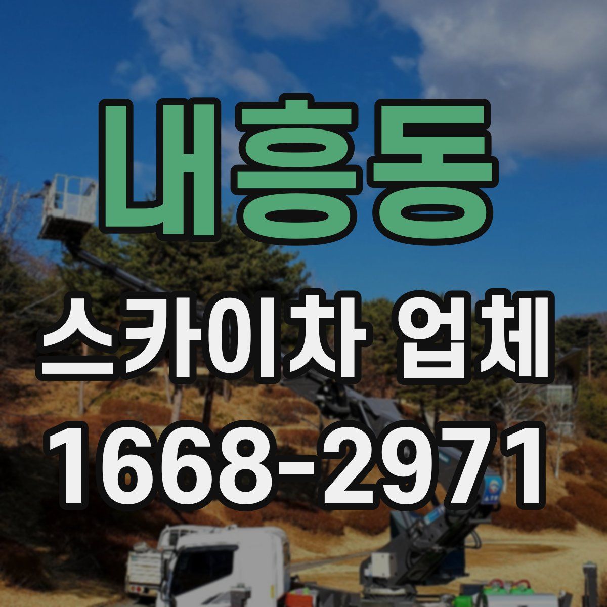내흥동 스카이차 업체