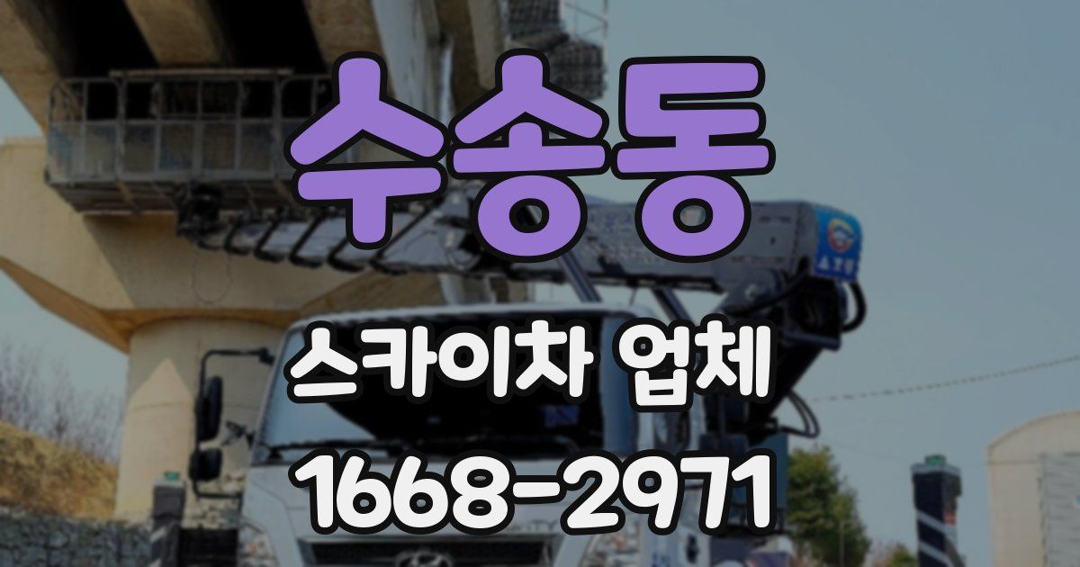 수송동 스카이차 업체