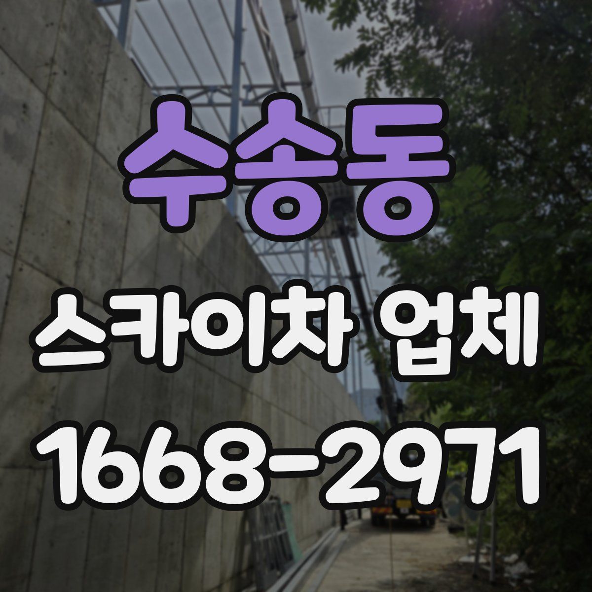 수송동 스카이차 업체