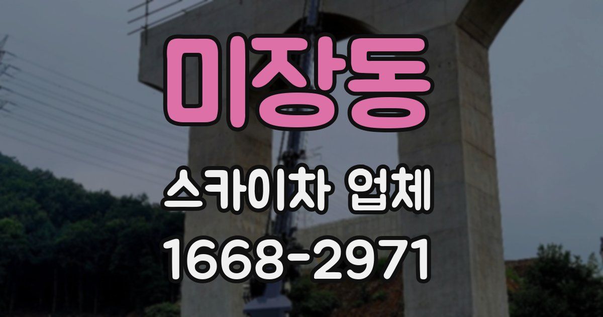 미장동 스카이차 업체
