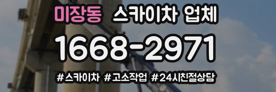 미장동 스카이차 업체