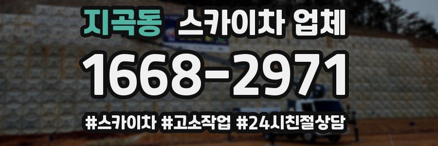 지곡동 스카이차 업체