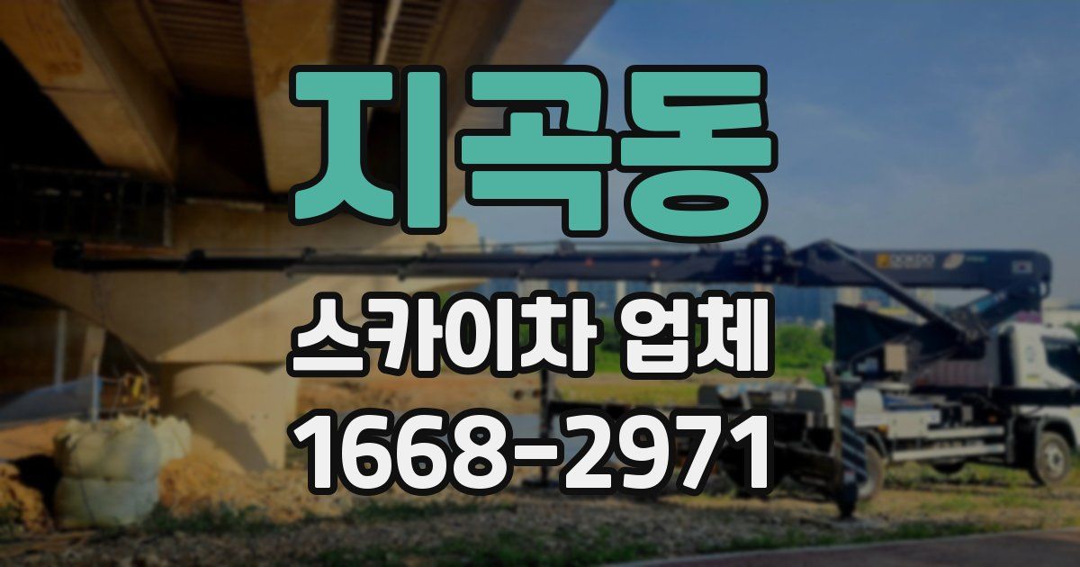 지곡동 스카이차 업체