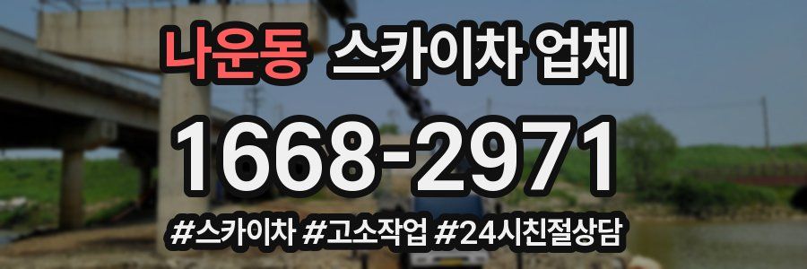 나운동 스카이차 업체