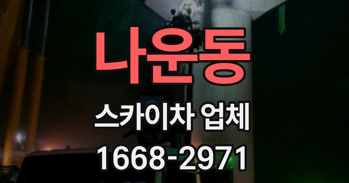 나운동 스카이차 업체