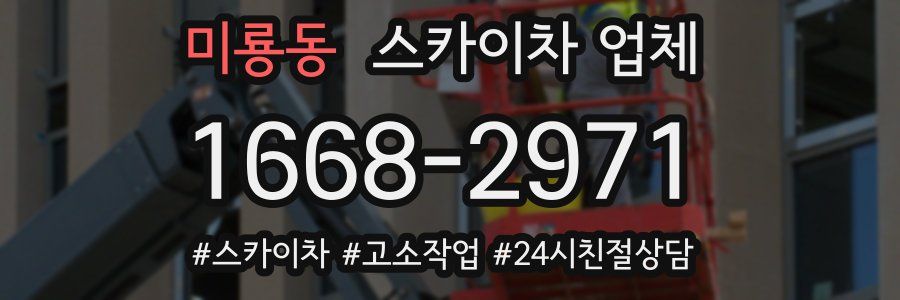 미룡동 스카이차 업체