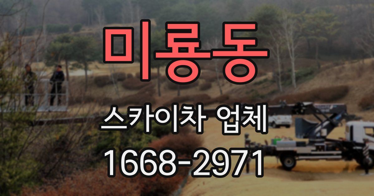 미룡동 스카이차 업체