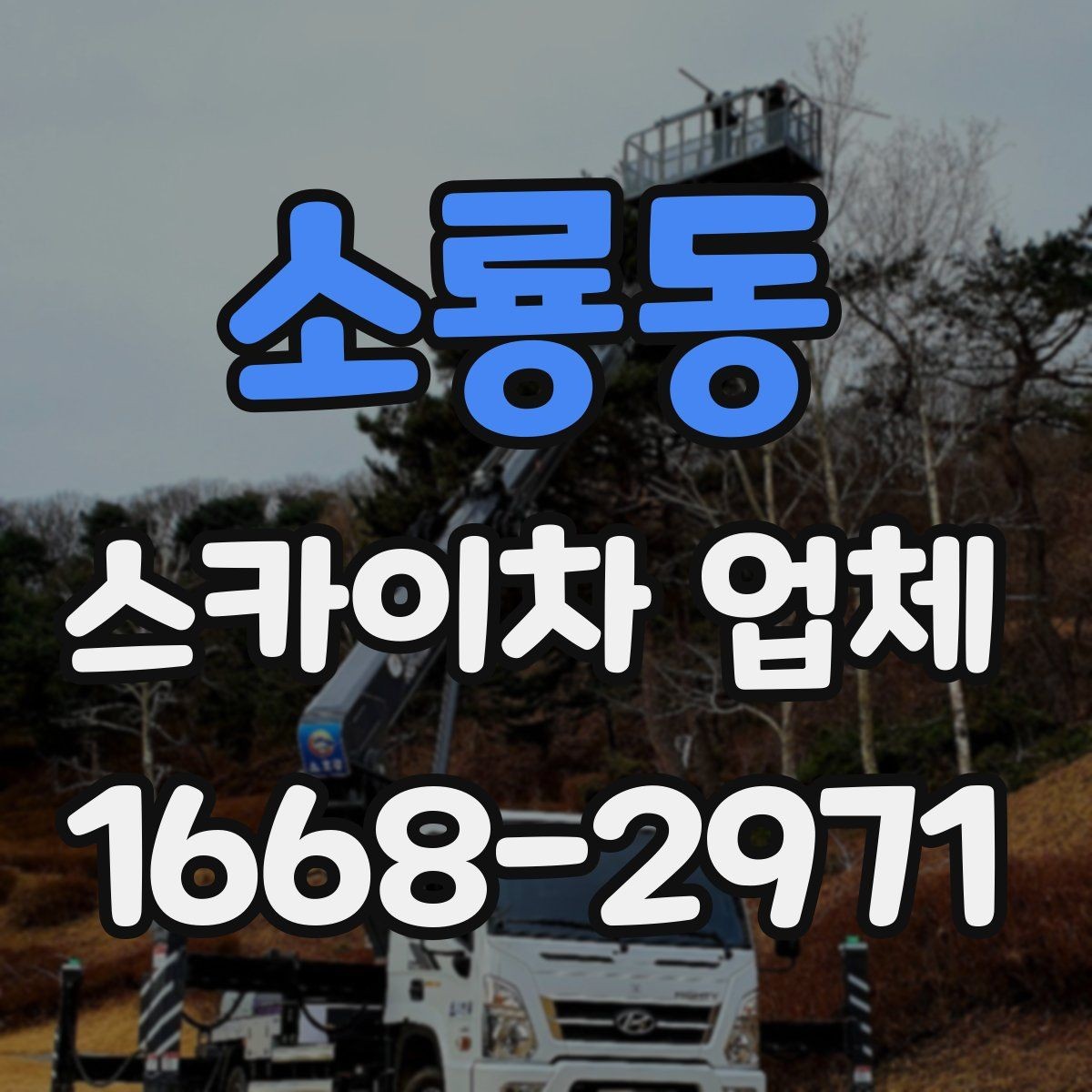 소룡동 스카이차 업체 활용 전 체크해야 할 기본 조건
