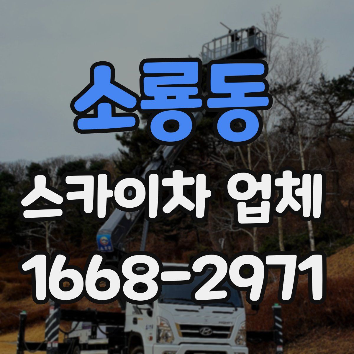 소룡동 스카이차 업체