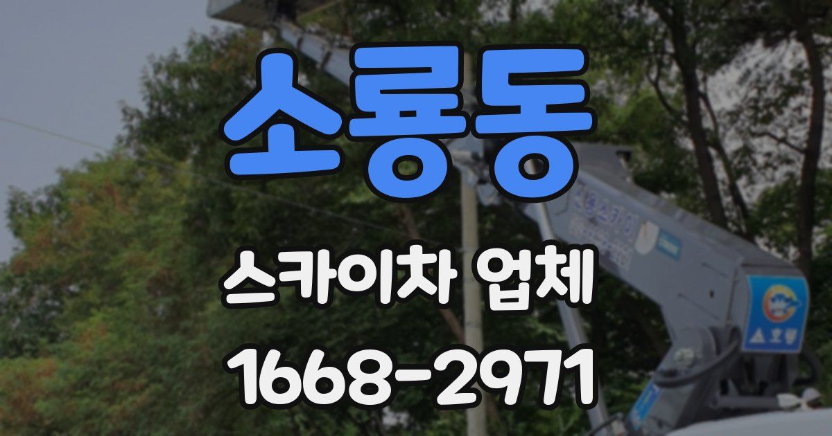 소룡동 스카이차 업체