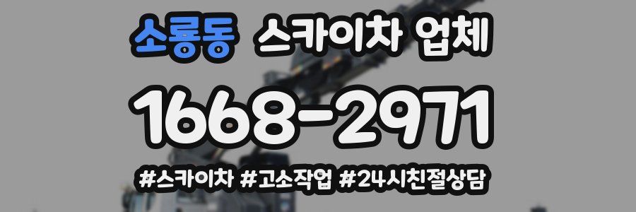 소룡동 스카이차 업체