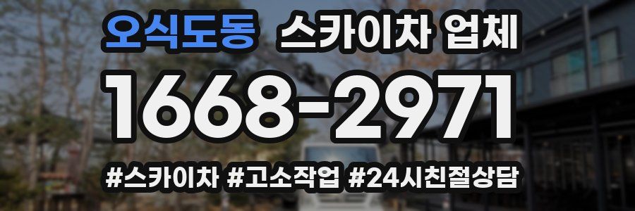 오식도동 스카이차 업체