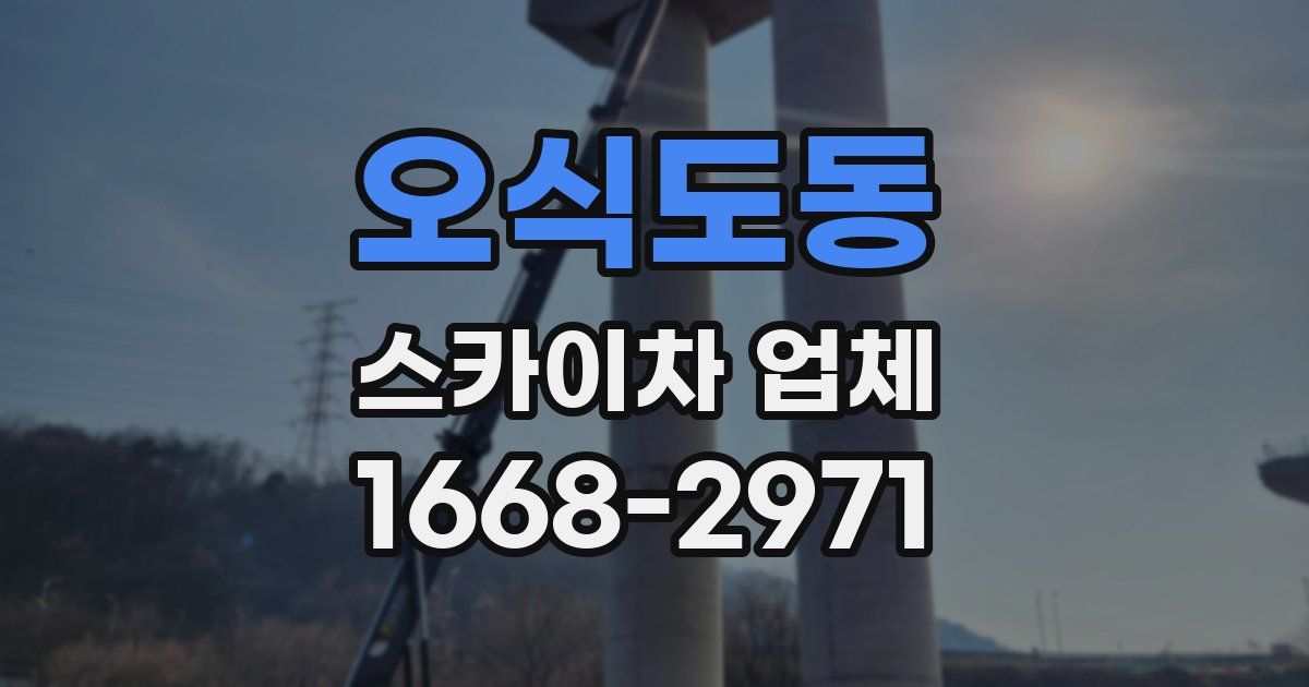 오식도동 스카이차 업체