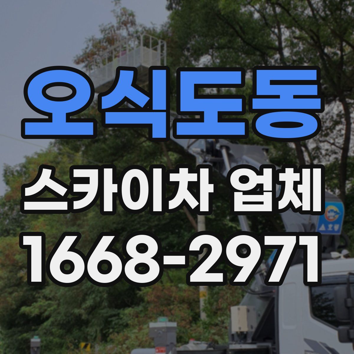 오식도동 스카이차 업체
