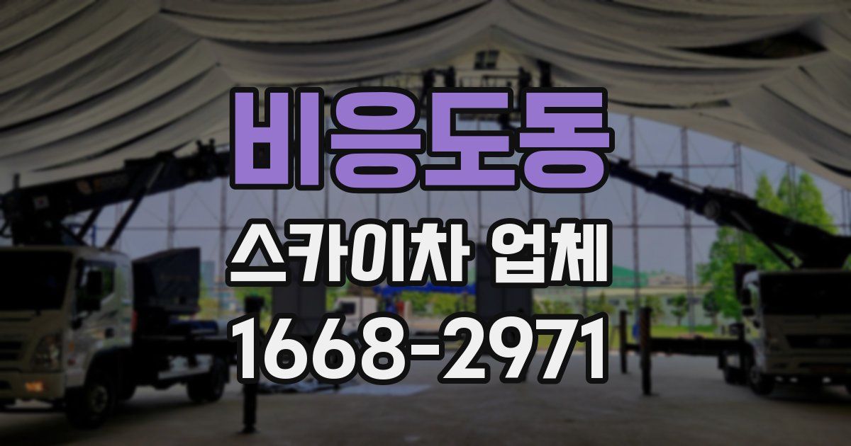 비응도동 스카이차 업체