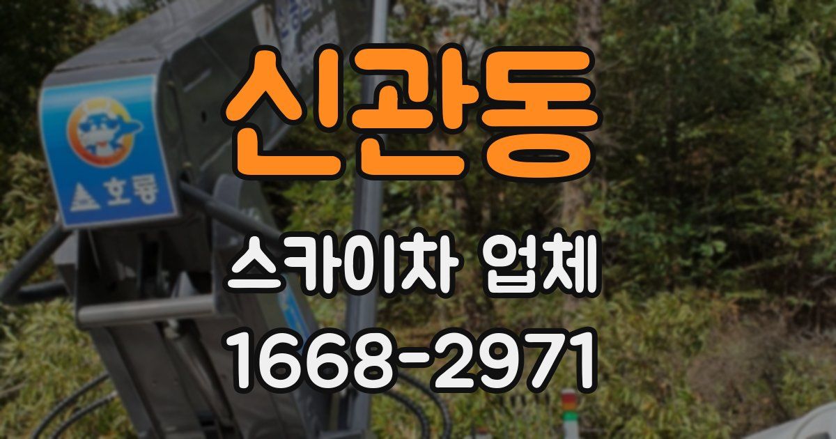 신관동 스카이차 업체