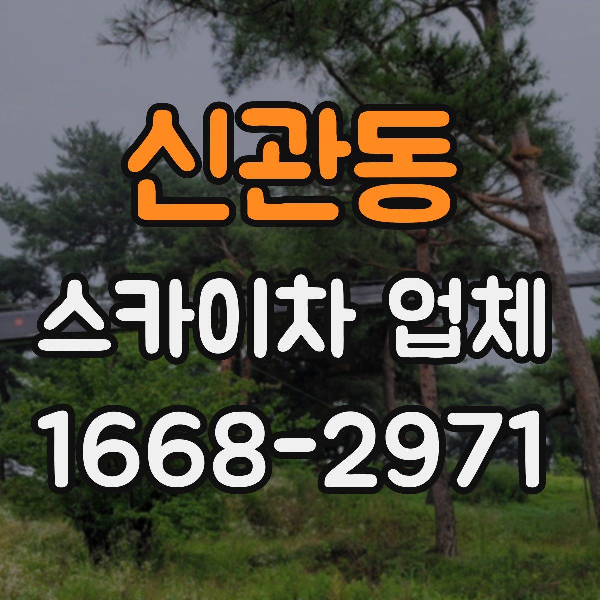 신관동 스카이차 업체