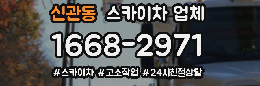 신관동 스카이차 업체